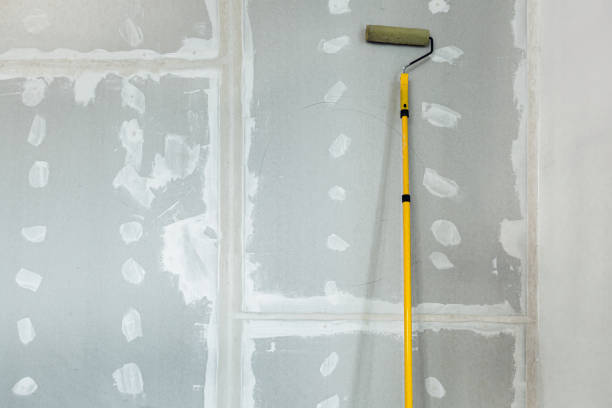 Best Mold Damage Restoration  in Moweaqua, IL