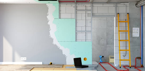 Best Post-Construction Mold Inspection  in Moweaqua, IL