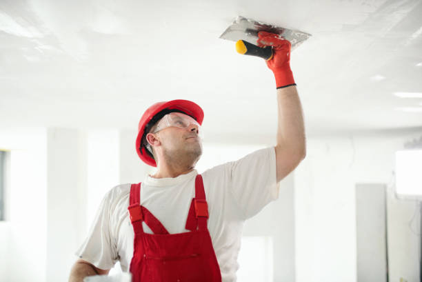 Best Indoor Air Quality Assessment  in Moweaqua, IL