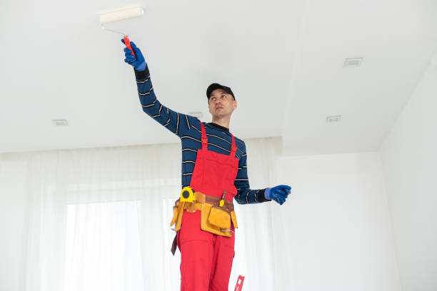 Best Dehumidification Services  in Moweaqua, IL