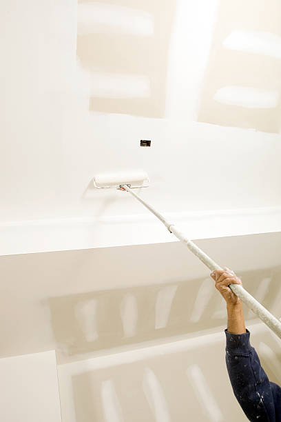 Best Residential Mold Inspection & Testing  in Moweaqua, IL