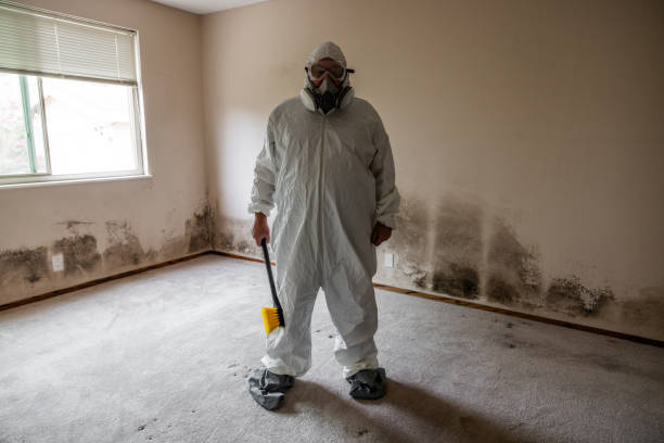Biohazard Mold Removal in Moweaqua, IL