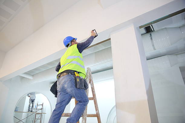  Moweaqua, IL Mold Removal Pros
