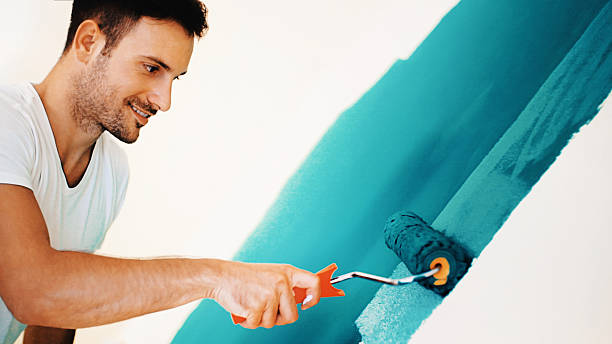Moweaqua, IL Mold Removal Company